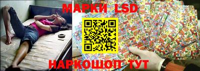 молекула духа Будённовск
