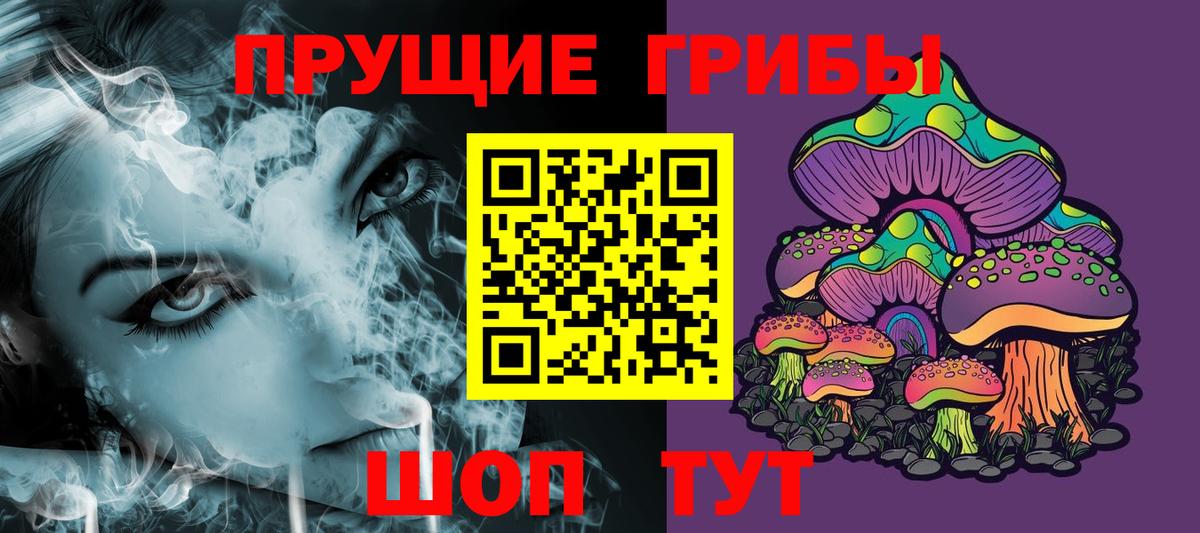Галлюциногенные грибы Psilocybine cubensis Реутов